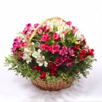 Flowers for mother-in-law
