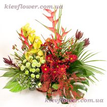 Кошик 